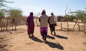 Health volunteers, alongside a UNICEF nutrition specialist, conducting a door-to-door campaign in eastern Sudan. More than 24 million Sudanese are facing high levels of acute food insecurity.