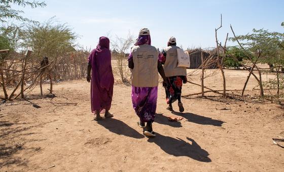 Sudan’s worsening famine: Conflict puts millions at risk