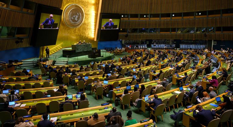 [UN News photo]