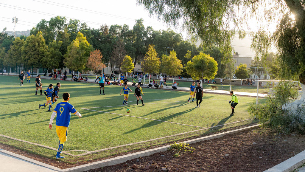 Niños jugando un partido de fútbol en un campo verde de un parque.