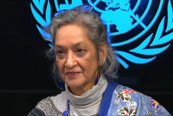 United Nations Special Rapporteur on the Right to Education, Farida Shaheed, at UN Headquarters in New York.