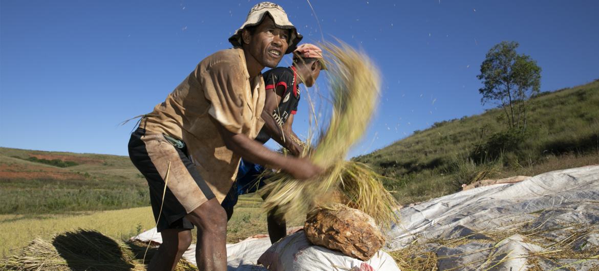 UN agencies warn of rising heat stress risks for workers worldwide — Global Issues