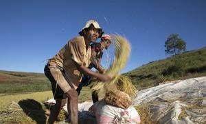 Farmers in rural Madagascar.