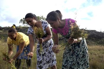 Mudanças nas formas de cultivo, adoção de práticas sustentáveis de agricultura e linhas de financiamento estão ajudando pequenos e médios produtores no Brasil