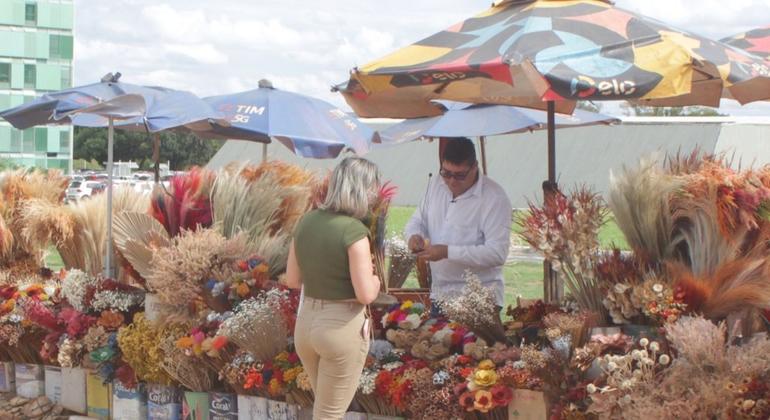 Brasil deve seguir em ritmo moderado, em linha com o desempenho da América Latina