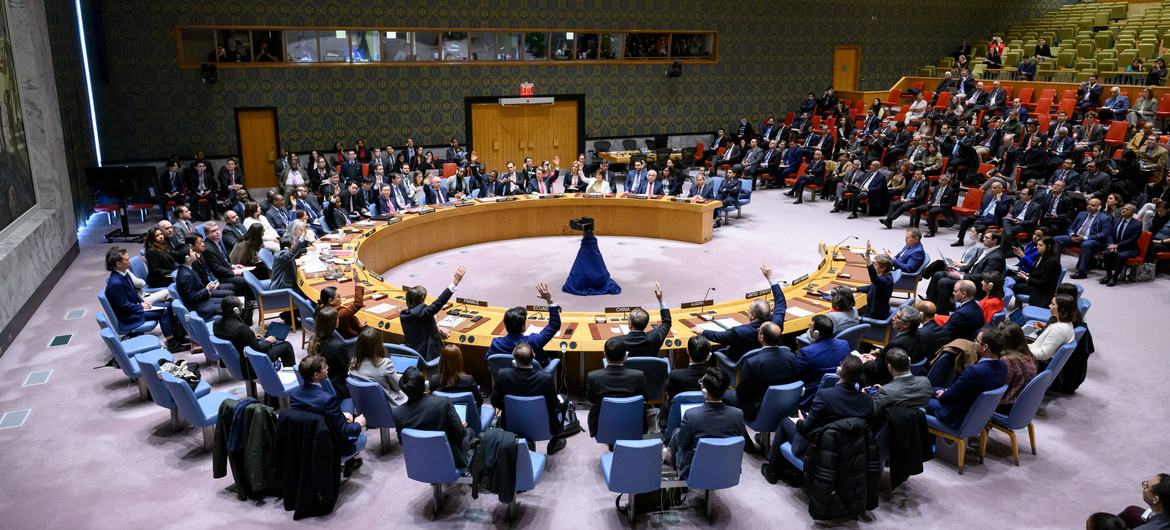 A view of Security Council members voting in favour of the resolution.