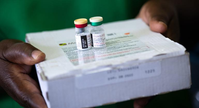 OMS cita realizações tais como a implementação faseada em três países africanos da primeira vacina contra a malária