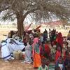 Des réfugiés soudanais s'abritent sous des arbres dans un village au Tchad à 5 km de la frontière.