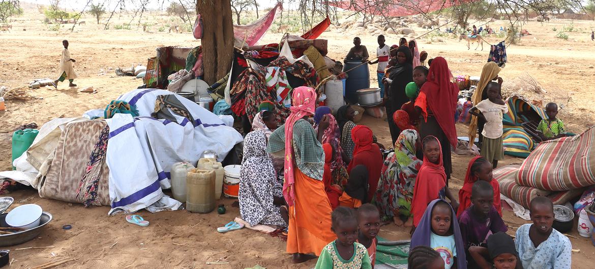 Refugiados sudaneses se abrigam sob árvores em vilarejos a 5 km da fronteira com o vizinho Chade.