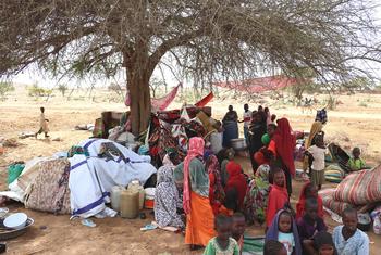 Sudanese refugees shelter under trees in villages 5km inside the border of neighbouring Chad.