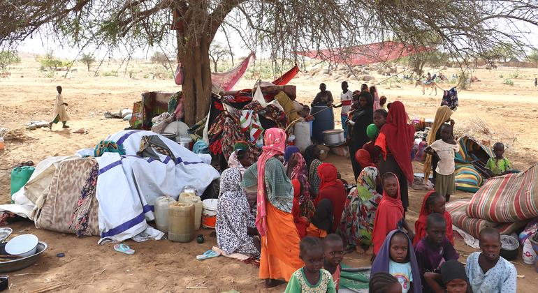 Sudanese refugees shelter under trees in villages 5km inside the border of neighbouring Chad.