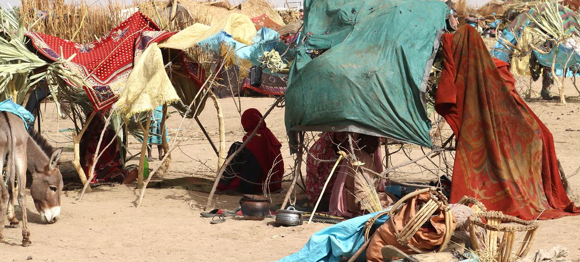 Duizenden vluchtelingen steken de grens met Tsjaad over op de vlucht voor het geweld in Soedan.