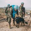 Un ingeniero de combate de la UNIFIL , con uniforme de camuflaje y casco azul, ajusta la máscara antigás de un perro pastor alemán detector. Otros cascos azules de la ONU , con equipo similar, permanecen cerca en un paisaje árido y montañoso.