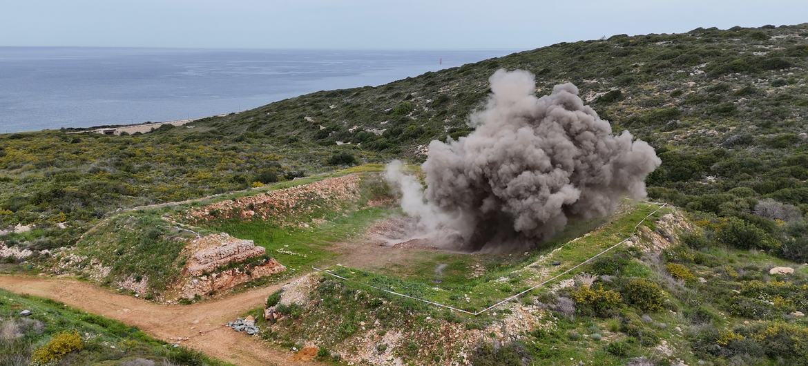 media:entermedia_image:f14955e7-7048-4b54-90d3-48021b9143e4