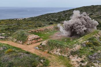 media:entermedia_image:f14955e7-7048-4b54-90d3-48021b9143e4