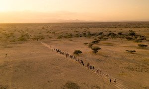 Many migrants cross deserts to reach their destination.