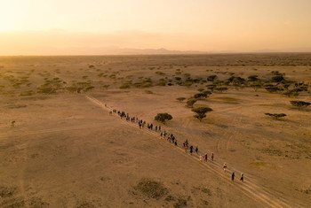 Many migrants cross deserts to reach their destination.