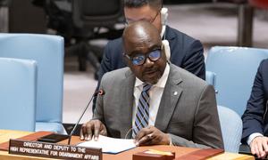 Adedeji Ebo, Deputy to the High Representative of the UN Office for Disarmament Affairs, briefs the Security Council meeting on threats to international peace and security.