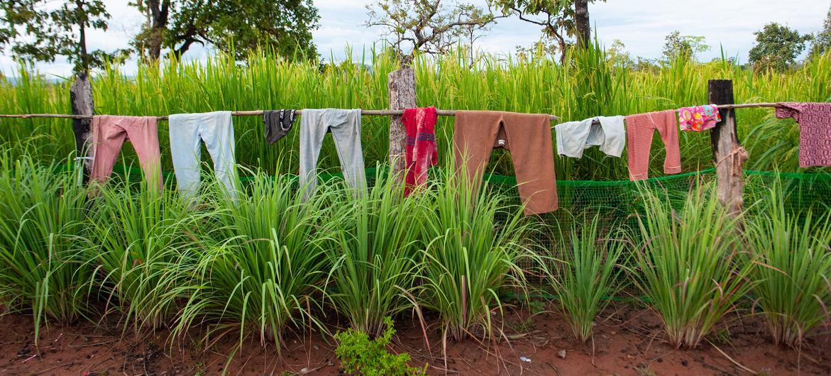 Clothes hang on a line outside a rural home in northern Cambodia, near the border with Thailand. Thousands have been displaced on both sides due to a spike in tensions. (file photo) 
