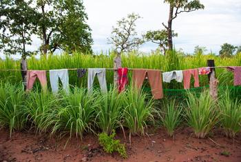 Clothes hang on a line outside a rural home in northern Cambodia, near the border with Thailand. Thousands have been displaced on both sides due to a spike in tensions. (file photo) 