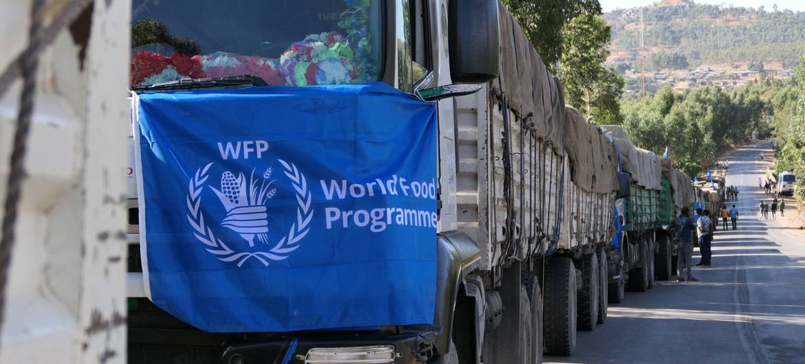 WFP plan aims to prevent further food aid diversion in Ethiopia — Global Issues