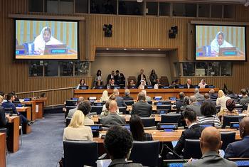 تتحدث نسرين سايم، الناشطة السودانية، على شاشة كبيرة في اجتماع لمجلس الأمن الأمم المتحدة في نيويورك.