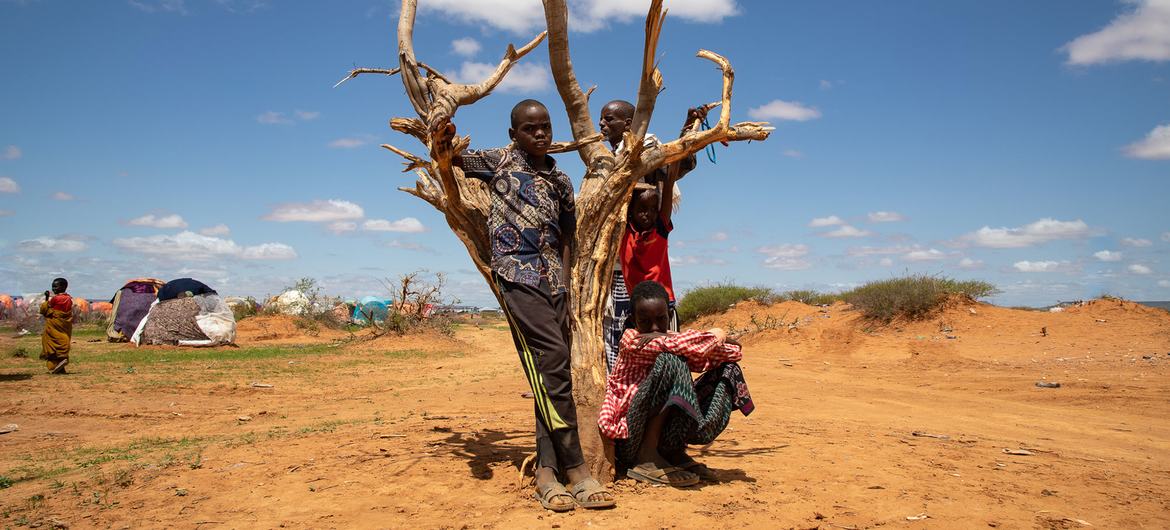 在埃塞俄比亚索马里地区的临时营地中，流离失所儿童每天都在因严重的干旱而忍受饥渴。