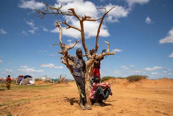 流离失所的儿童生活在埃塞俄比亚索马里地区的临时营地。 