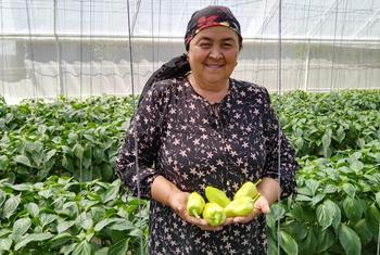 Раньше половина заработка Матлюбы Алимбековой уходила на покрытие производственных расходов.