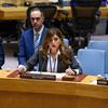 Caroline Ziadeh, Special Representative of the Secretary-General and Head of the UN Interim Administration Mission in Kosovo, briefs members of the Security Council.