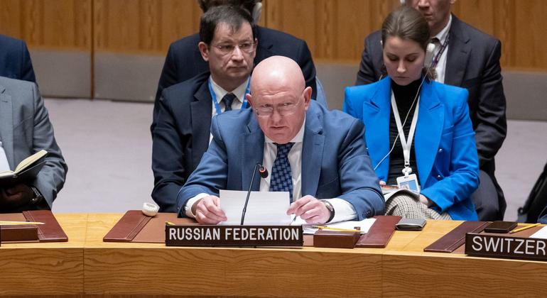 俄罗斯常驻联合国代表在安理会发言。