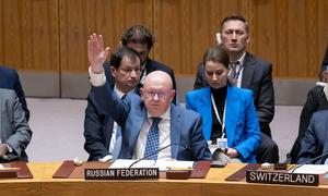 俄罗斯在安理会行使否决权。