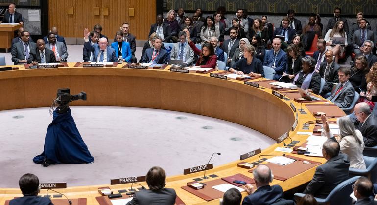 Rússia veta projeto de resolução do Conselho de Segurança da ONU sobre a situação Israel-Palestina