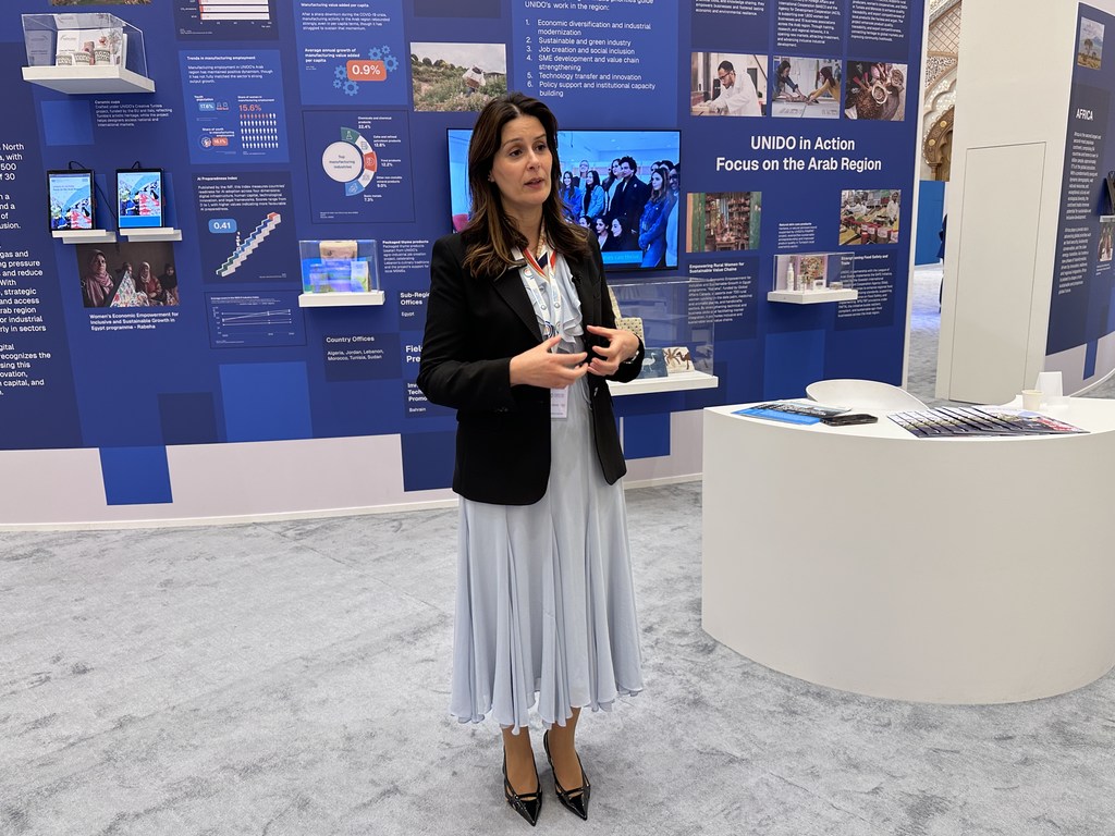 حنان  حنزاز مديرة المكتب  الإقليمي للبلدان العربية بمنظمة الأمم المتحدة للتنمية الصناعية (اليونيدو).