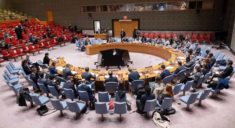 安理会会议全景（资料图片）