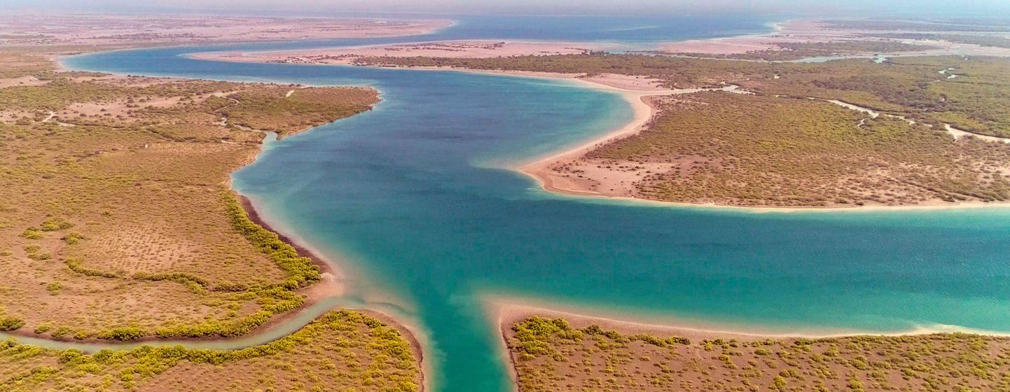 ورلڈ ریسٹوریشن فلیگ شپ' کی حیثیت سے 'زندہ دریائے سندھ' اقدام کو کسی ملک یا خطے میں ماحولیاتی نظام کی بحالی کے لیے بڑے پیمانے پر اور طویل مدتی اقدامات کی بہترین مثال قرار دیا گیا ہے۔