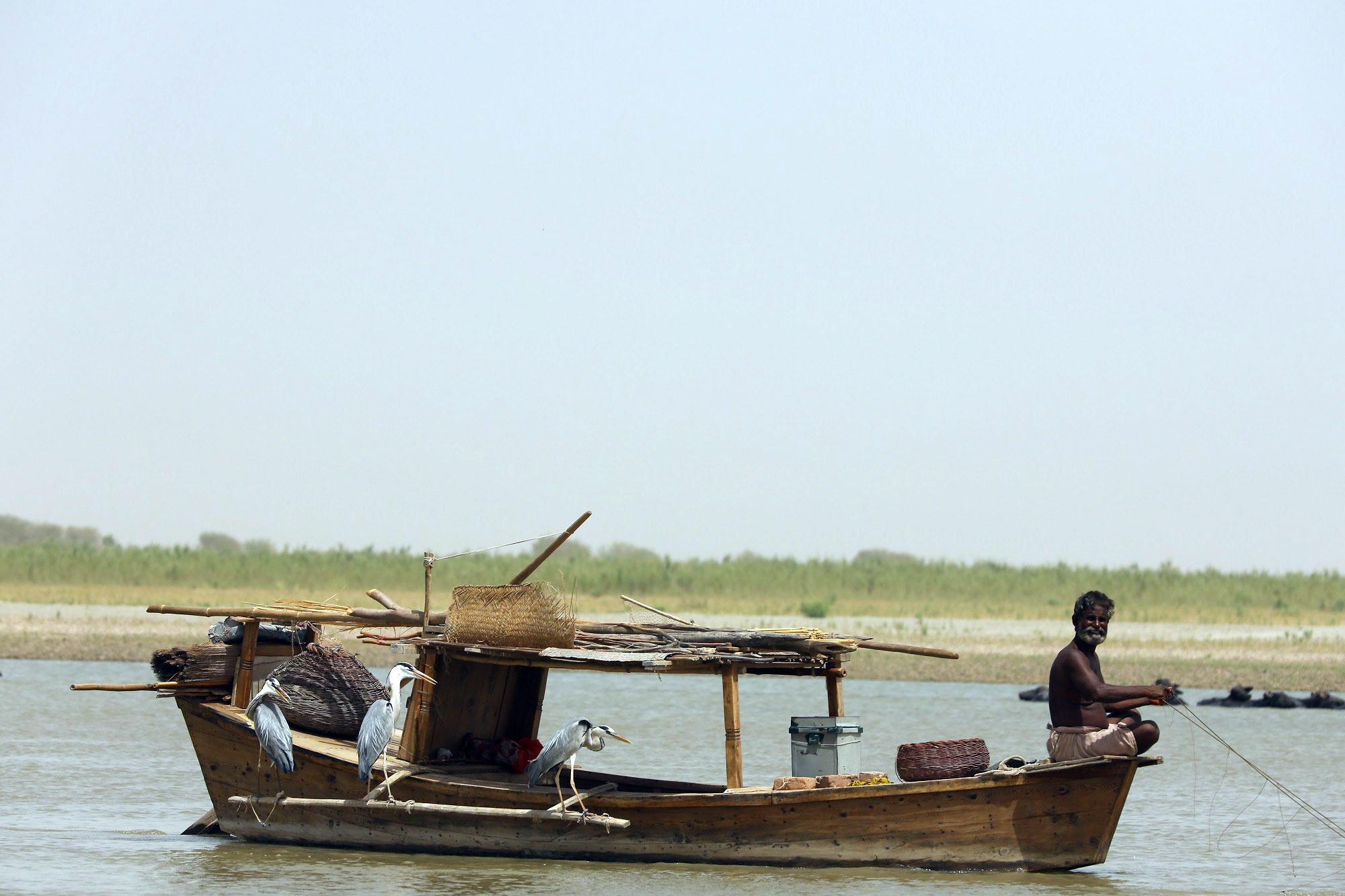 دریائے سندھ کا طاس ممالیہ کی 195 انواع، پرندوں کی 668 اور مچھلیوں کی 150 سے زیادہ انواع کا مسکن ہے۔
