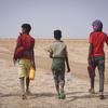 Migrants walk through Djibouti's desert. (file)