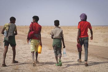 بہتر زندگی کی تلاش میں ہجرت پر مجبور نوجوانوں کا یہ ٹولہ صحرائے جبوٹی سے گزر رہا ہے (فائل فوٹو)۔
