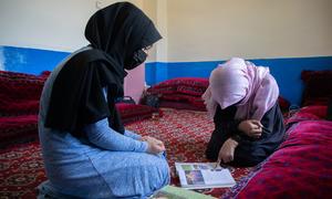 Since returning to power, the Taliban have banned women and girls from secondary and higher education in Afghanistan.