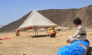 An IOM team sets up an emergency shelter for newly displaced families in a remote desert site in Marib, Yemen.