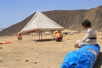 media:entermedia_image:4b6477c5-498f-48fa-869a-28157ac1cb8e