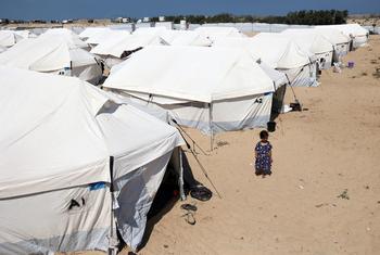 Muitos habitantes de Gaza estão agora vivendo em tendas em Rafah, no sul de Gaza.