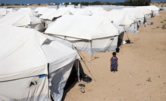 De nombreux Gazaouis vivent désormais sous des tentes à Rafah, au sud de Gaza.
