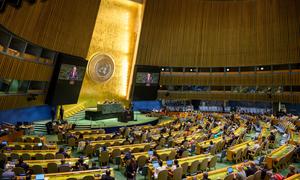 A wide view of the General Assembly. (file photo)