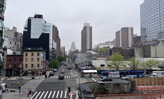 UN Experts Flag Home Care Shift Concerns in New York