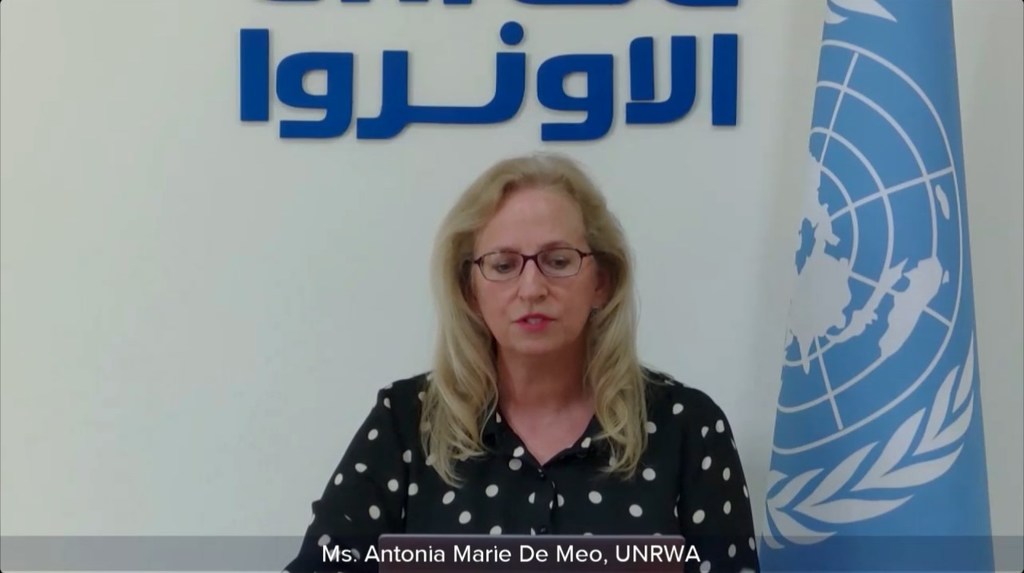 أنتونيا ماري دي ميو، نائبة المفوض العام (الدعم العملياتي) لوكالة إغاثة وتشغيل لاجئي فلسطين (الأونروا) متحدثة عبر الفيديو لمجلس الأمن.