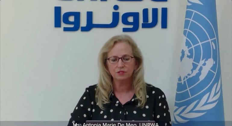 أنتونيا ماري دي ميو، نائبة المفوض العام (الدعم العملياتي) لوكالة إغاثة وتشغيل لاجئي فلسطين (الأونروا) متحدثة عبر الفيديو لمجلس الأمن.