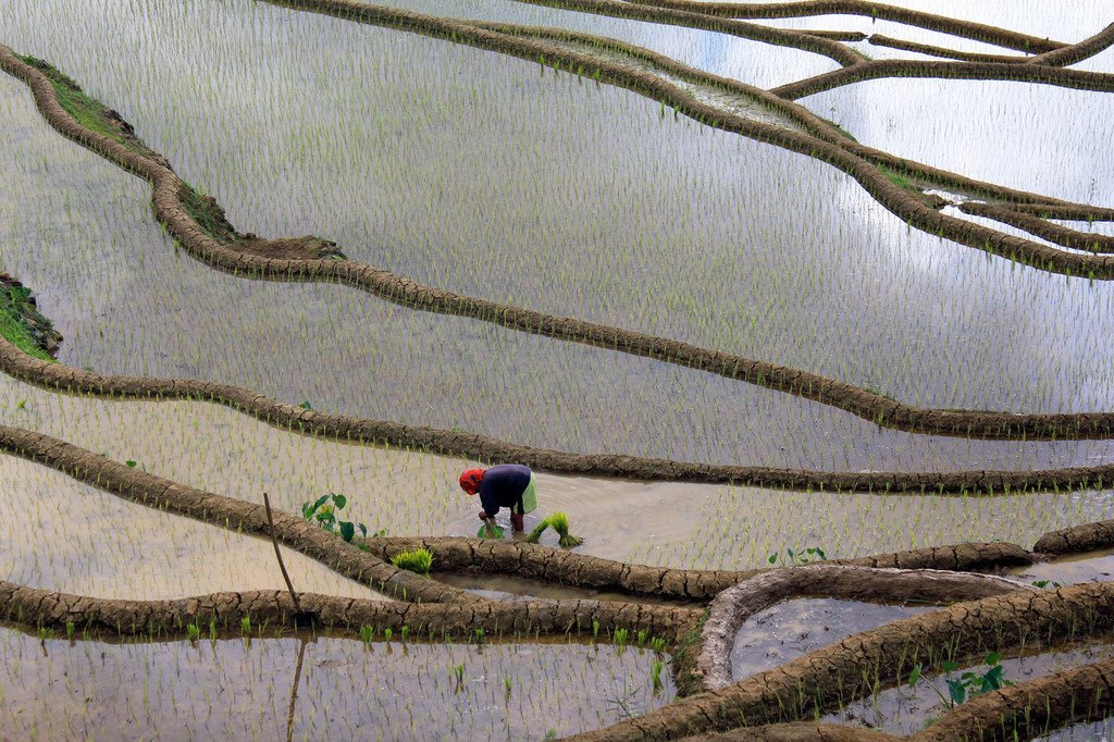Mundo pode enfrentar um déficit de 40% de água doce até 2030
