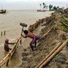 Des mesures de protection des côtes sont prises en Inde en raison de l'élévation du niveau de la mer.